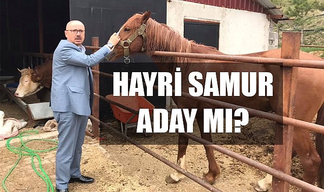 Hayri Samur aday mı oluyor