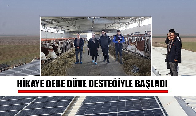 Hikaye gebe düve desteğiyle başladı