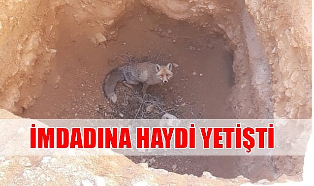 İmdadına HAYDİ yetişti