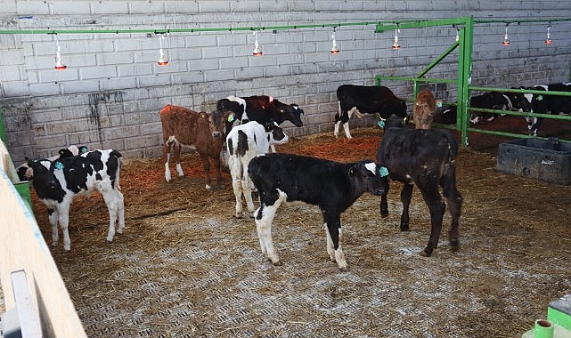 Örnek çiftlik ziyaret edildi