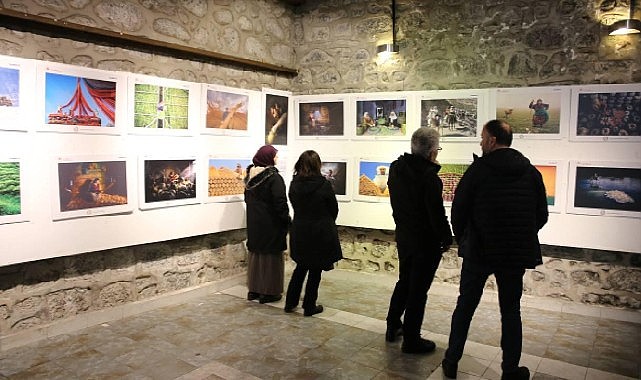 Tarım orman ve insan bu karelerde