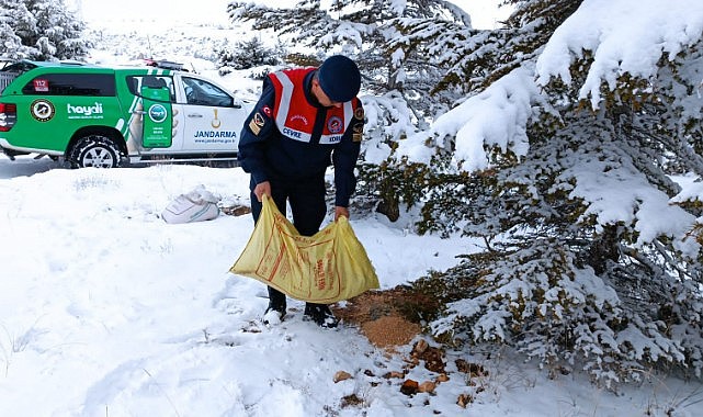 Yaban dostları unutulmadı!