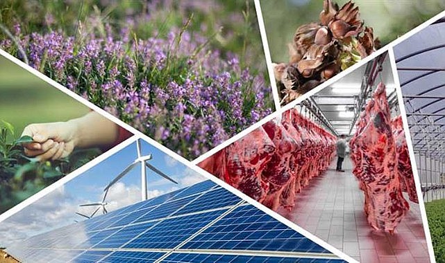 Yüzde 50 hibeli desteklemede başvuru süresi uzatıldı