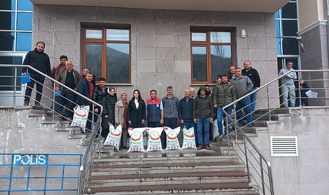 Başyayla nohutla yeşillenecek…