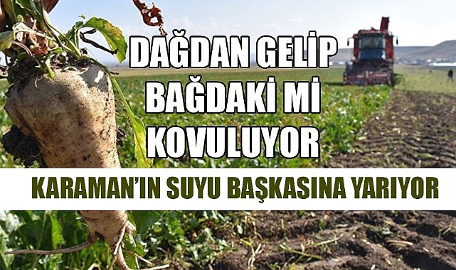 Dağdan gelip bağdaki mi kovuluyor!
