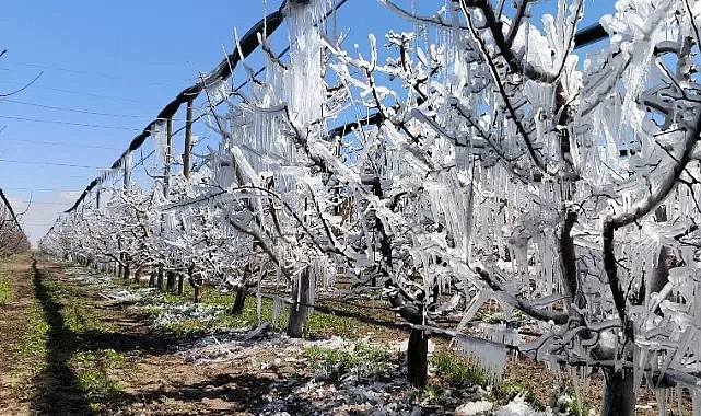 Dondan korunmak için 3 kritik yöntem