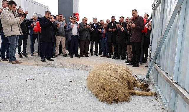 Hayvan pazarı hizmete sunuldu