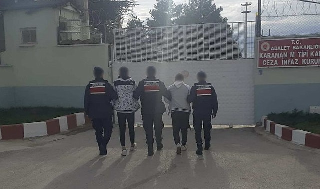 Kağıda emdirilmiş bonzai yakalandı