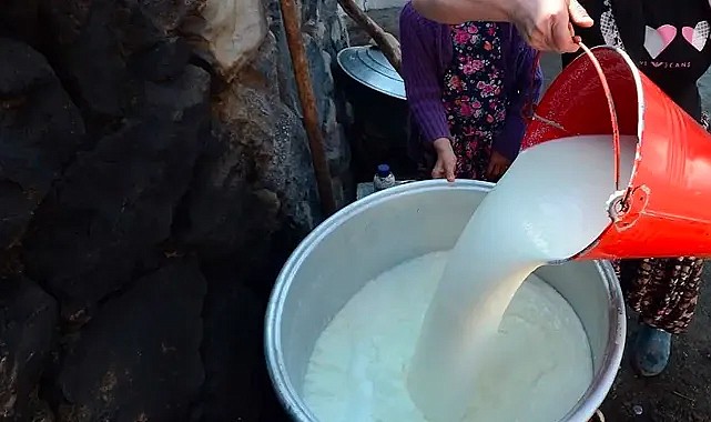 Karaman&#039;da çiğ süt desteği icmalleri askıda
