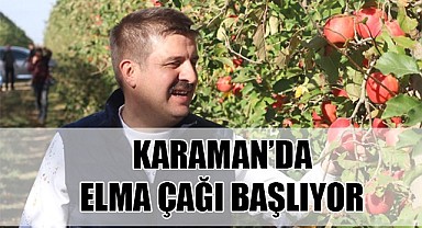 Karaman'da elma çağı başlıyor