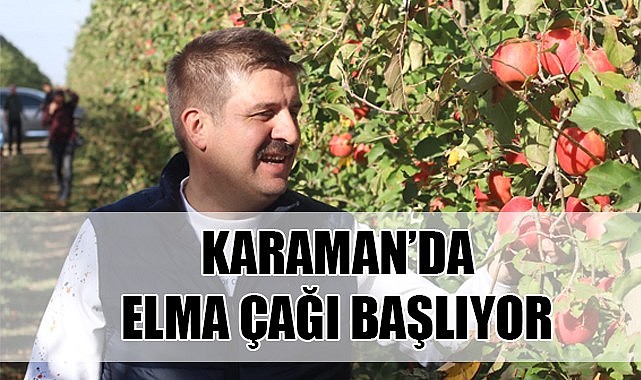 Karaman&#039;da elma çağı başlıyor