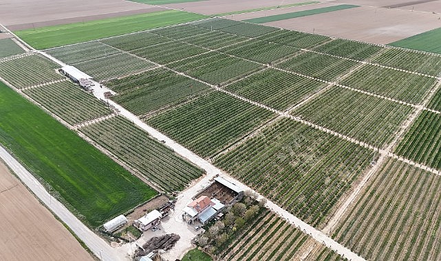 Karaman&#039;da örnek bahçe tozlaşma arılarla sağlanıyor