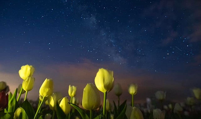 Karaman Valiliği&#039;nden sanatsal çalışma…