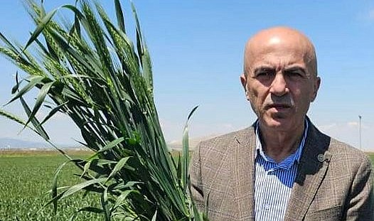 &quot;Buğday alım fiyatı en az 14 lira olmalı&quot;