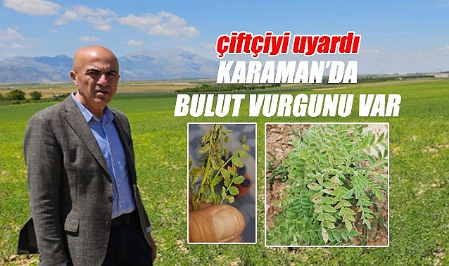 Dikkat! Karaman&#039;daki bazı tarlalarda bulut vurgununa rastlandı