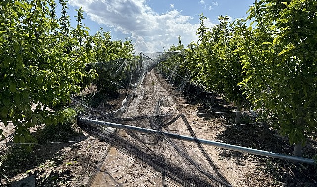 Dolu tarım arazileri ve bahçelerde hasara yol açtı
