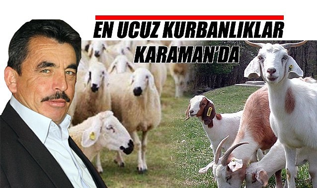 En ucuz kurbanlıklar Karaman&#039;da