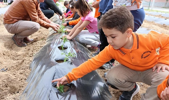 Fideler toprakla buluştu