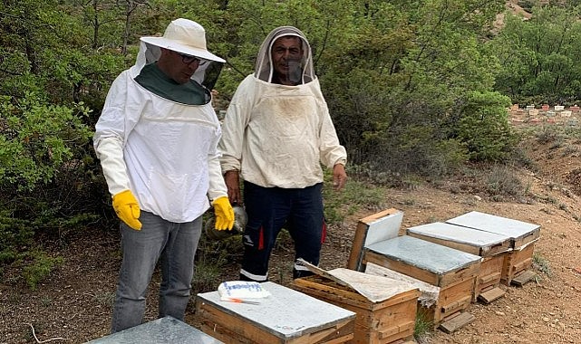 Karaman&#039;da arıcılık sezonu açılıyor