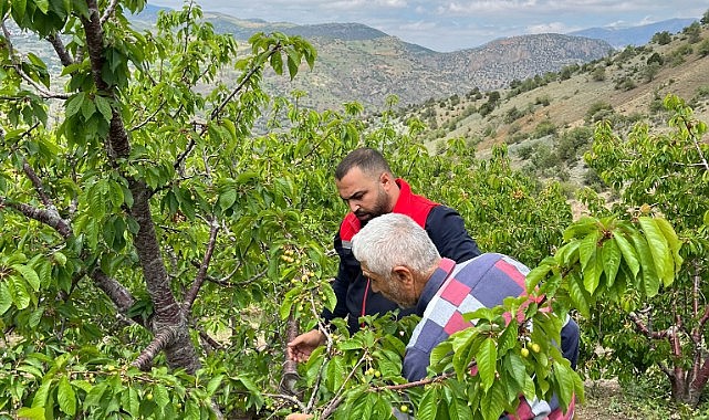 Karaman Tarım ve Orman İl Müdürlüğü kiraz üreticisinin yanında…