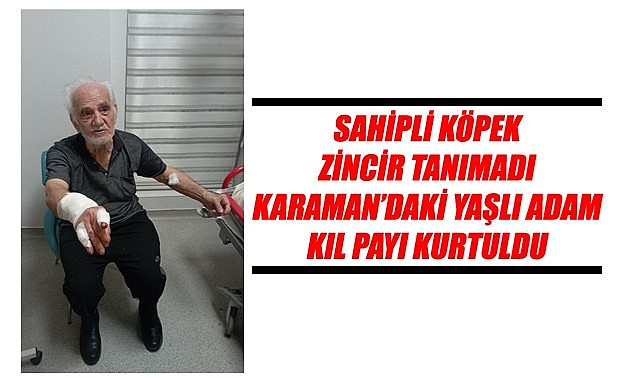 Sahipli köpek zincir tanımadı Karaman’daki yaşlı adam kıl payı kurtuldu