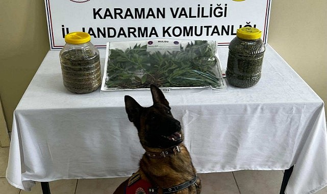 Uyuşturucu satıcıları narkotik köpeğinden kaçamadı