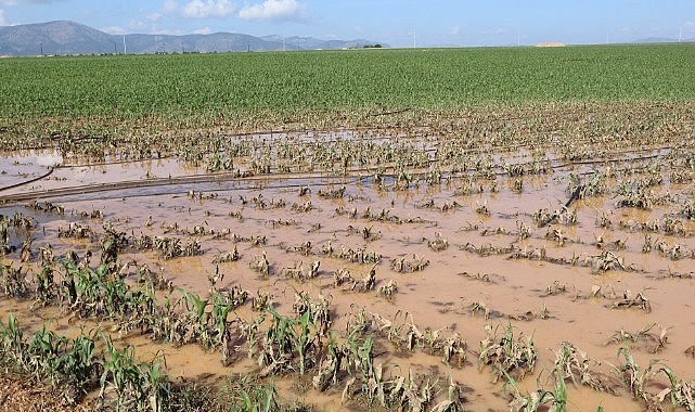 Zarar tespit çalışmaları başladı