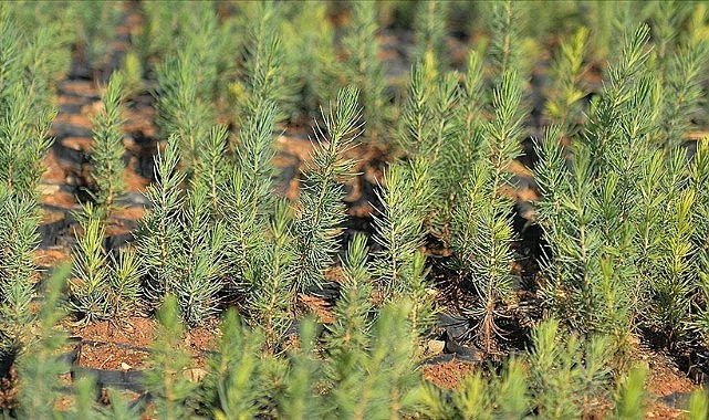 Azerbaycan&#039;a nefes olacak