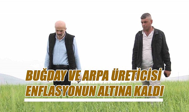 Buğday ve arpa üreticisi enflasyonun altında kaldı