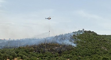 Ciğerimiz yanıyor!