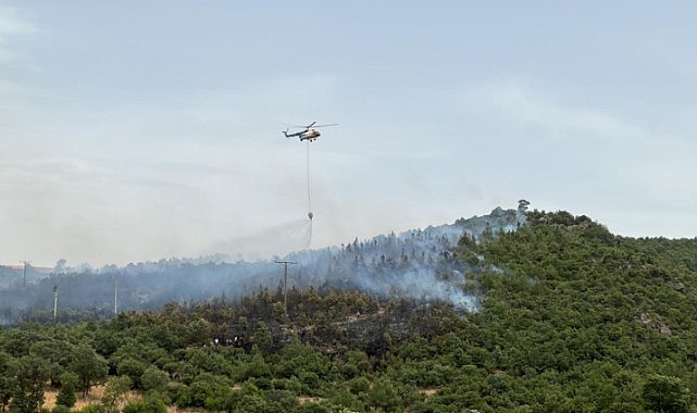 Ciğerimiz yanıyor!