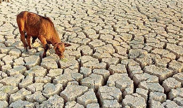 &quot;En büyük felakete karşı tedbirli olmalıyız&quot;