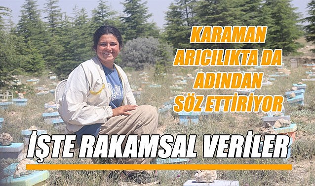 Karaman arıcılıkta da adından söz ettiriyor – İşte rakamsal veriler