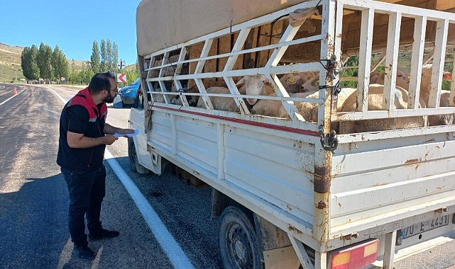 Karaman’da kurban denetimleri devam ediyor