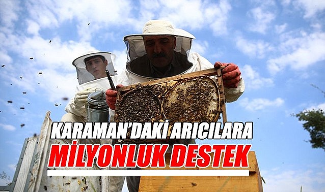 Karaman&#039;daki arıcılara milyonluk destek!