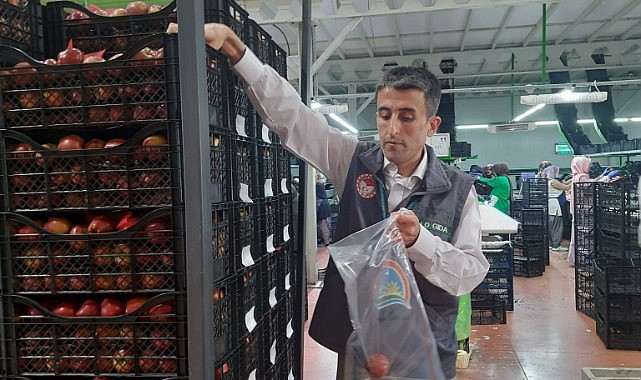 Karaman&#039;ın elması Rusya&#039;da