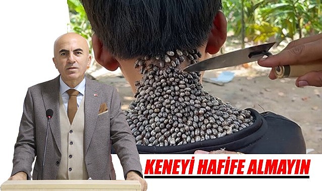 Keneyi hafife almayın