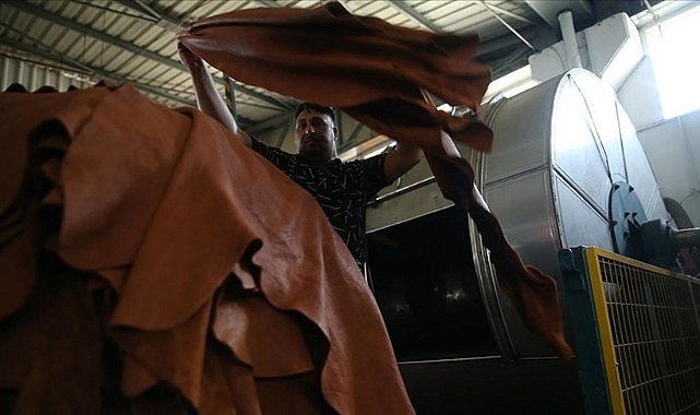 &quot;Kurban derileri milli servet&quot;