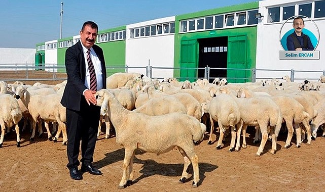 Taksitle kurban mı yapılır