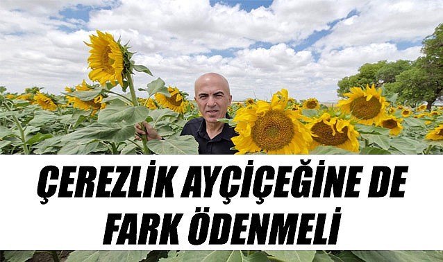 Başkan Bayram: &quot;Çerezlik ayçiçeğine de fark ödenmeli&quot;