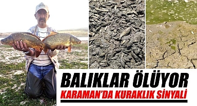 Karaman'da kuraklık sinyali – Balıklar ölüyor!