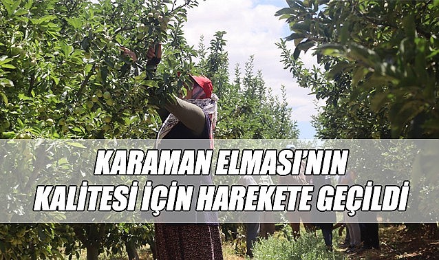 “Karaman Elması’nın” kalitesi için harekete geçildi