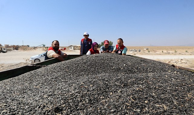 320 torba yağlık ayçiçeği tohumu sahiplerini buldu