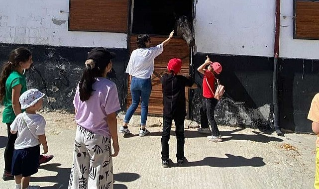 Gönüllere dokundular