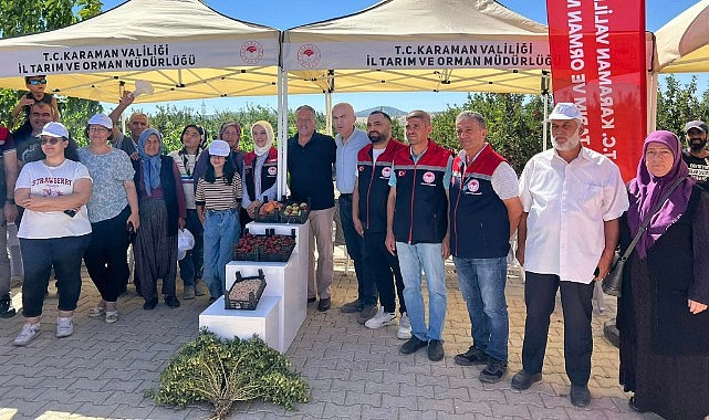 Karaman&#039;da 54 ton nohut tohumu dağıtıldı