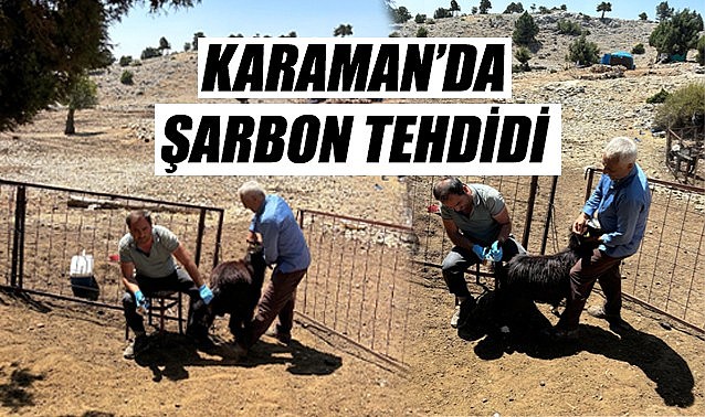 Karaman’da şarbon tehdidi