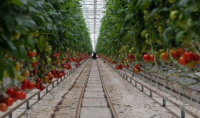 Karaman&#039;da seracılığın önü açılacak