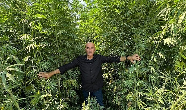 Kenevir tam Karaman&#039;a göre