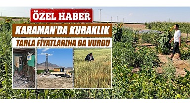 Kuraklık Karaman'ı vurdu
