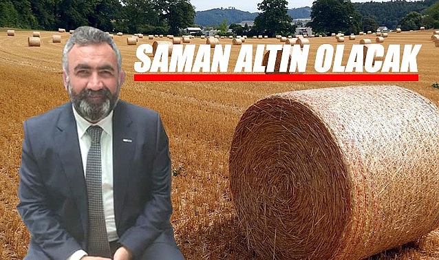 Saman altın olacak